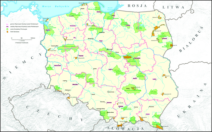 Polskie Lasy