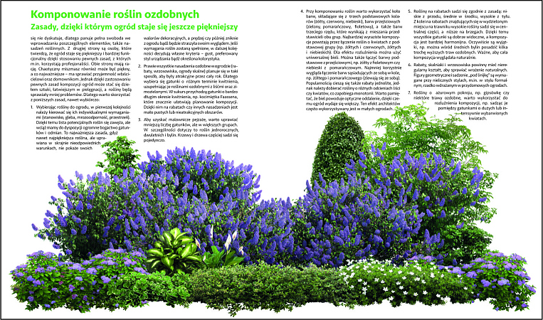 Rośliny Ogrodowe